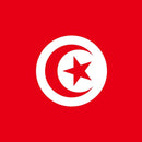 [Custom Logo] Tunisian flag-Kendo Zekken Position1(Left side of "TUNISIA")