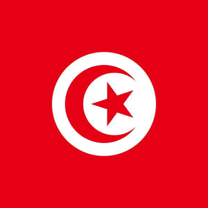 [Custom Logo] Tunisian flag-Kendo Zekken Position1(Left side of "TUNISIA")