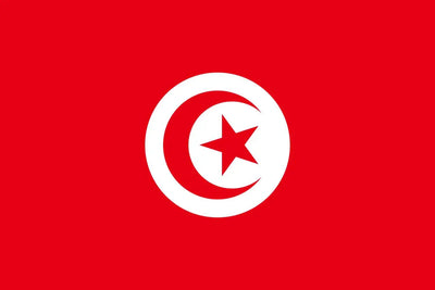 [Custom Logo] Tunisian flag-Kendo Zekken Position1(Left side of "TUNISIA")