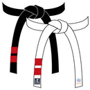 「帯後入れ刺繍」星道マーク側